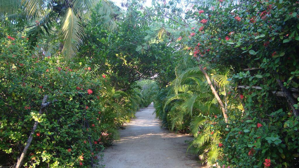 Coyuca de Benitez Quinta Erika Boutique Hotel By Rotamundos מראה חיצוני תמונה